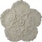 Ekena Millwork Shell Ceiling Medallion, Hand-Painted Pot of Cream Crackle, 25 5/8"OD x 1"P CM25SHPCC - alternate 1